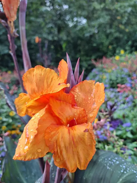 Kurparkrunde | Foto: Ralf Röser