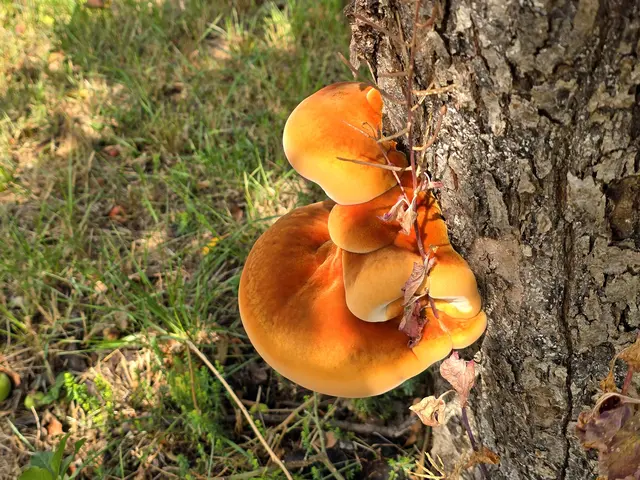 Foto: Heidrun Rosenberger