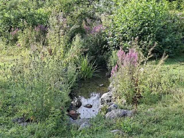 Kurparkrunde | Foto: Ralf Röser