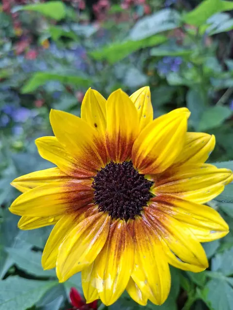 Kurparkrunde | Foto: Ralf Röser