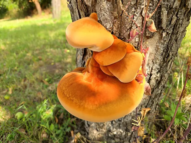 Foto: Heidrun Rosenberger
