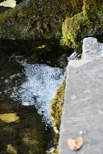 Die Quelle vom Kirchbrunnen | Foto: JuKo