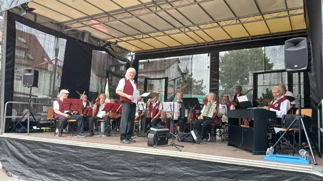 Das Seniorenorchester der Diakonie Heilbronn spielt gerne – für sich und andere. | Foto: privat