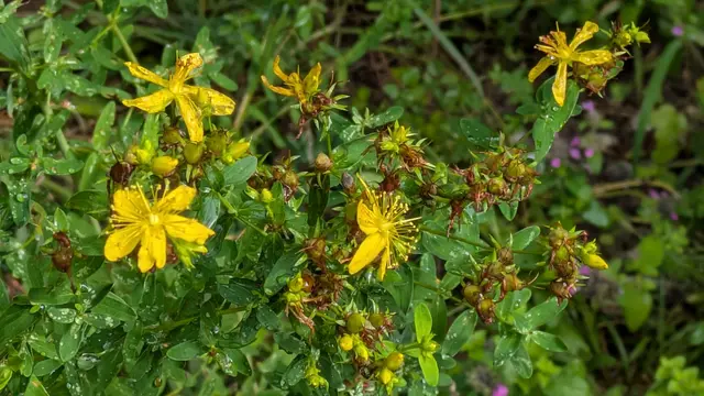 Foto: Eigene Aufnahme