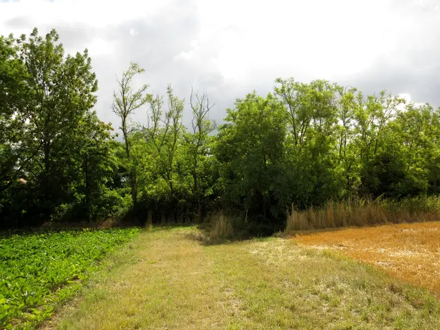 Also etwa hier an den Landturmbacken | Foto: Wandern Gaby Erich