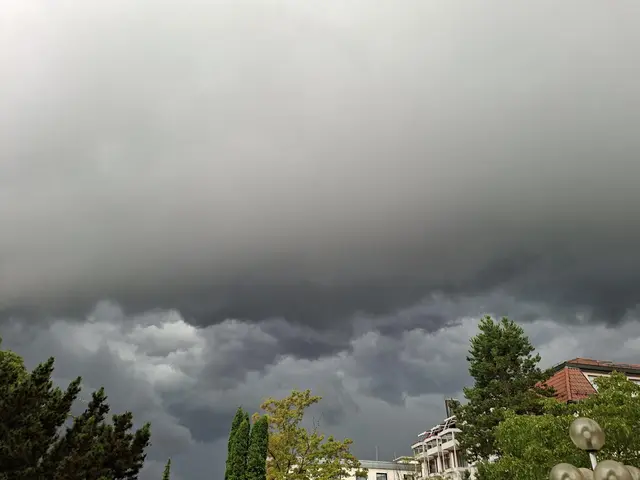 Da kommt was.... | Foto: Ralf Röser