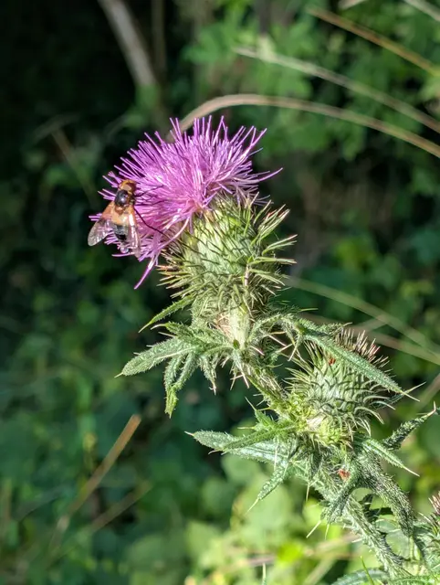 Foto: Eigene Aufnahme