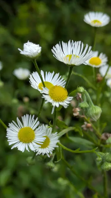 Foto: Eigene Aufnahme