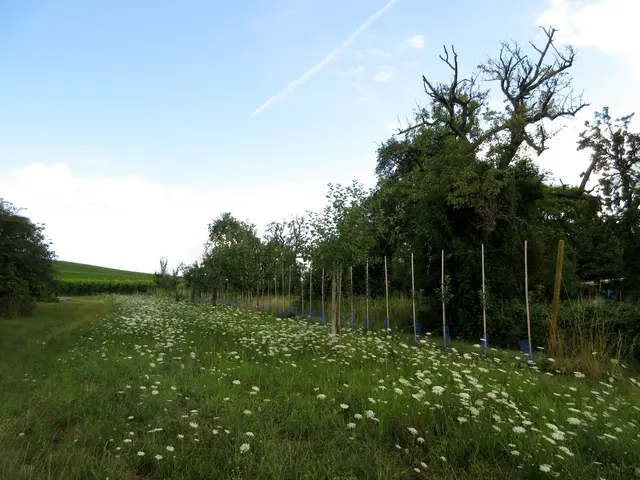 Fallriegel | Foto: Wandern Gaby Erich