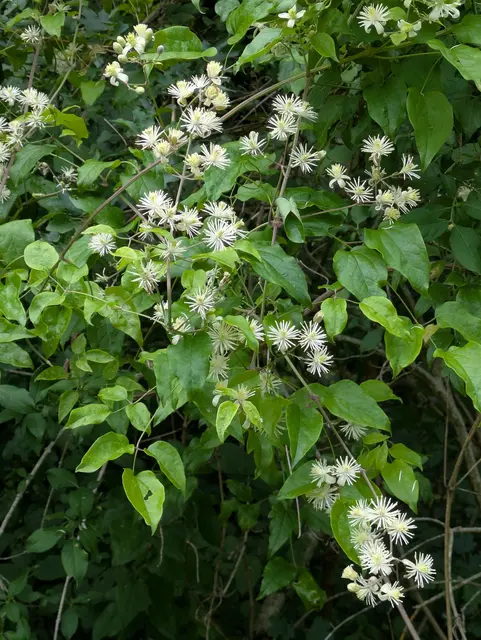 Foto: Eigene Aufnahme