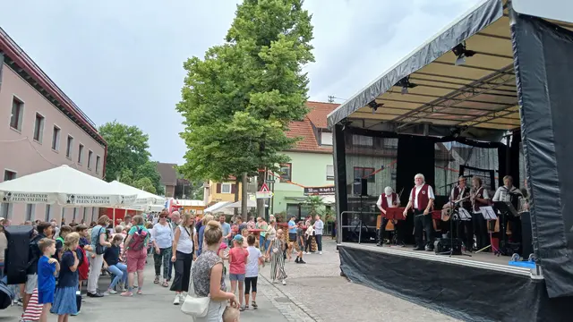 Höhepunkte des gemeinsamen Musizierens für das Seniorenorchester Heilbronn sind die öffentlichen Auftritte. | Foto: privat
