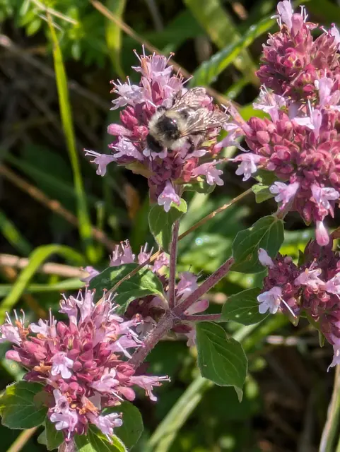 Foto: Eigene Aufnahme