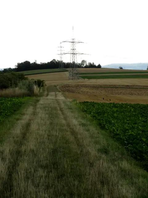 Oben an der Baumgrenze stand ein weiterer Landturm | Foto: Wandern Gaby Erich