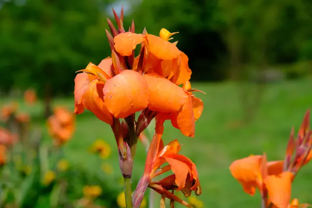 Foto: Eduard Warenik