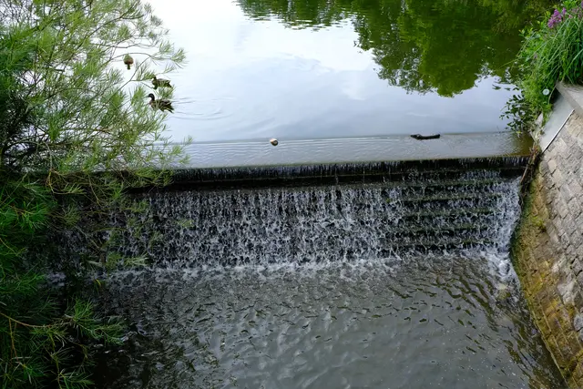 Foto: Eduard Warenik