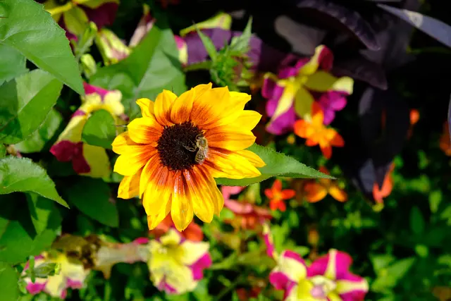 Foto: Eduard Warenik