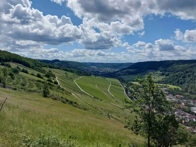 Über den Weinbergen von Ingelfingen | Foto: Thomas Raisig