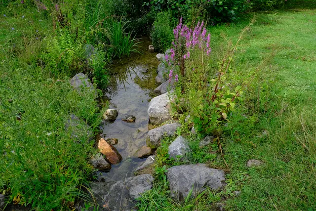 Foto: Eduard Warenik