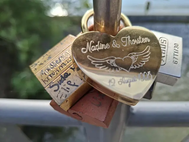 schöne Abendrunde🪿🦆🌻 | Foto: Ralf Röser