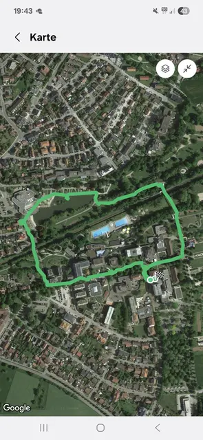 schöne Abendrunde🪿🦆🌻 | Foto: Ralf Röser