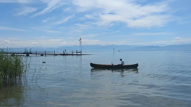 Stillleben | Foto: Elke Simon