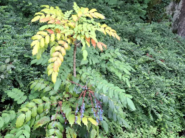 achtsam unterwegs | Foto: Ralf Röser