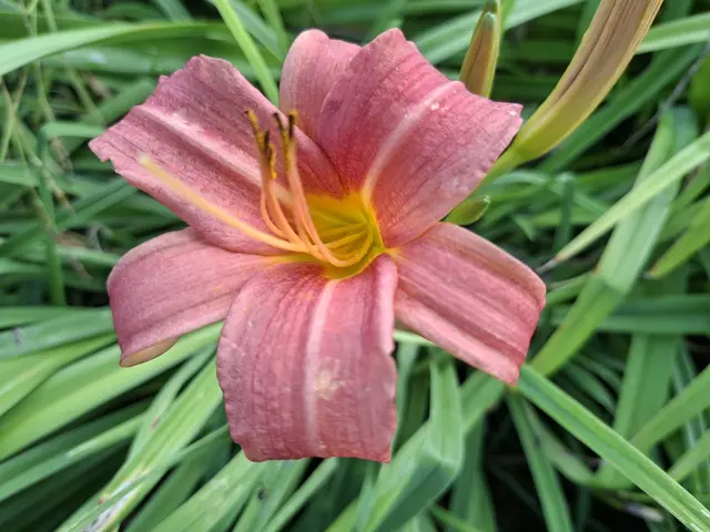 achtsam unterwegs | Foto: Ralf Röser