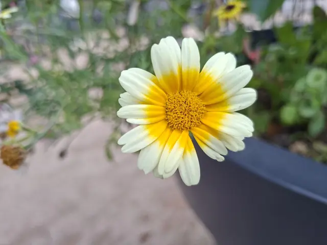 achtsam unterwegs | Foto: Ralf Röser