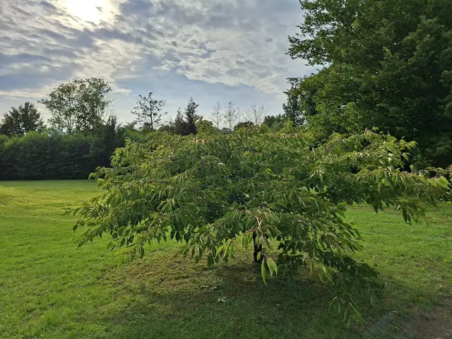 immer wieder gibt es neues zu entdecken und auch altes, hihi | Foto: Ralf Röser