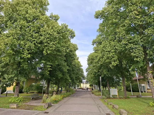 immer wieder gibt es neues zu entdecken und auch altes, hihi | Foto: Ralf Röser