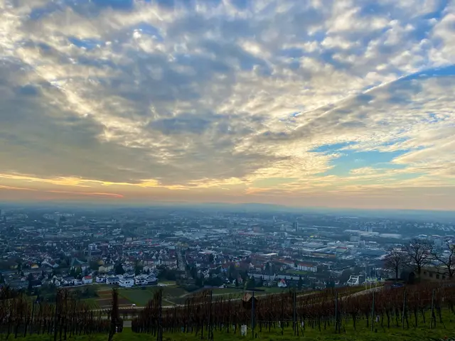 Foto: Heide Böllinger aus Bad Friedrichshall