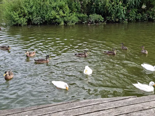 immer wieder gibt es neues zu entdecken und auch altes, hihi | Foto: Ralf Röser