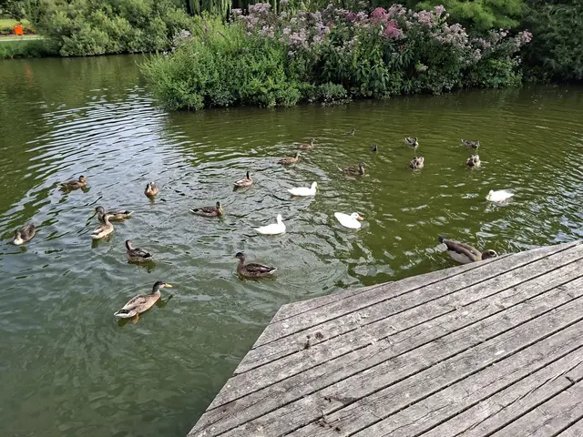 immer wieder gibt es neues zu entdecken und auch altes, hihi | Foto: Ralf Röser