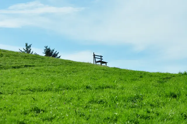 Einsame Bank auf der Wiese | Foto: JuKo