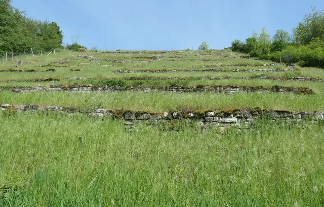 Ehemalige Felsengärten | Foto: JuKo