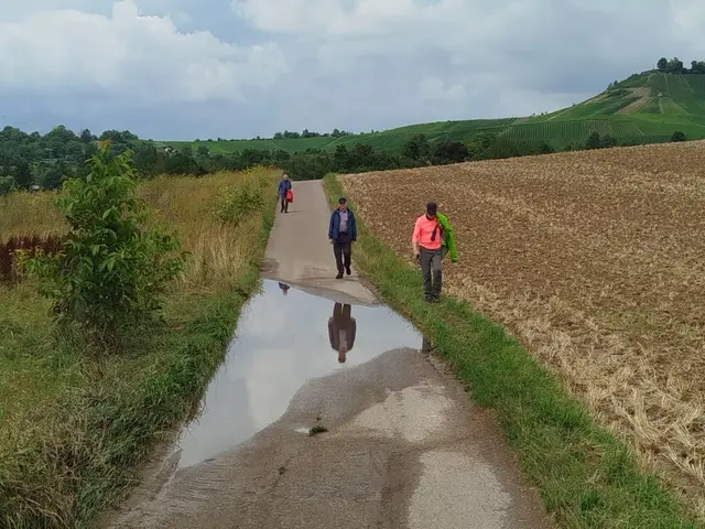 Mansches Hindernis musste überwunden werden | Foto: E. Rosendorf
