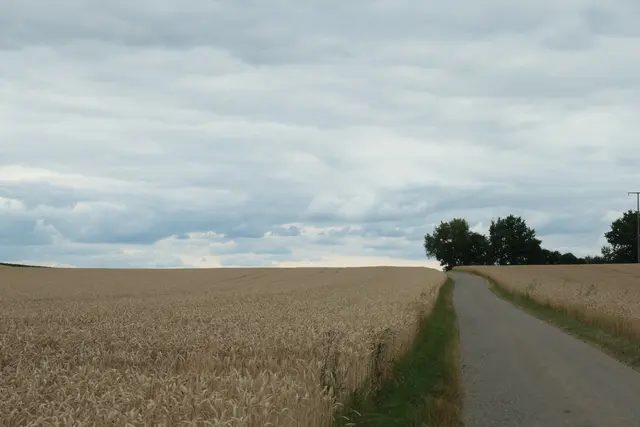 Radweg Richtung Neudenau | Foto: JuKo