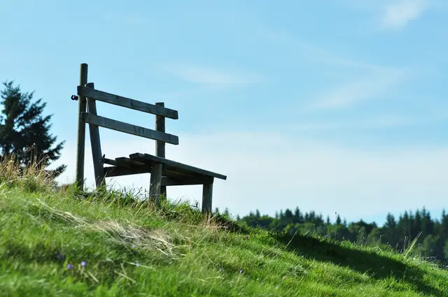 ..von der Nähe | Foto: JuKo