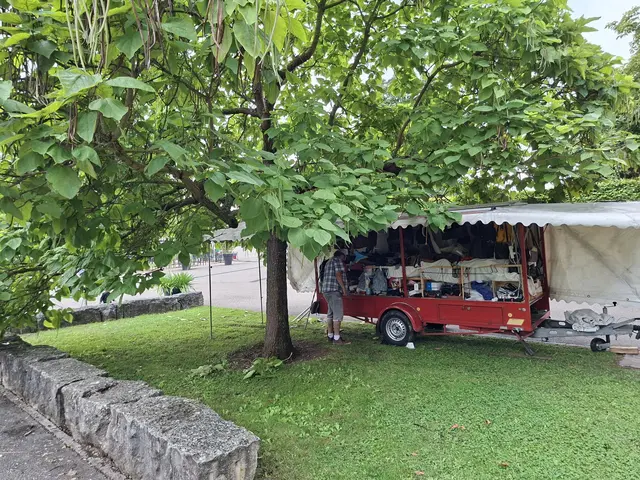 Kurparkfest Bad Rappenau | Foto: Ralf Röser