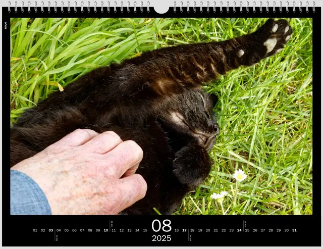 Der Geniesser | Foto: WKY