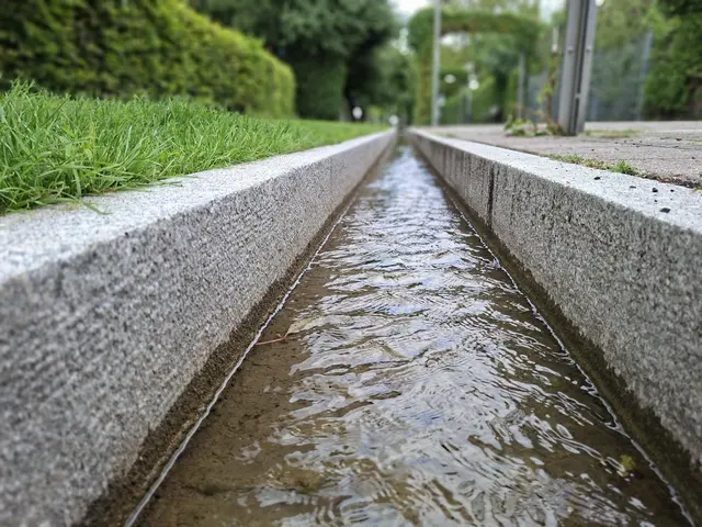 Kurparkfest Bad Rappenau | Foto: Ralf Röser