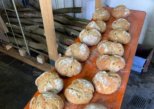 Backen im Backhaus | Foto: HBS
