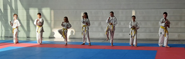 Noch tragen sie ihren gelben Gürtel - die künftigen Orangegurte bei den Grundschultechniken. | Foto: Karateverein Eppingen