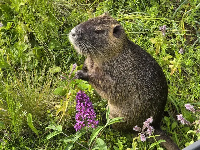 Foto: Heidrun Rosenberger