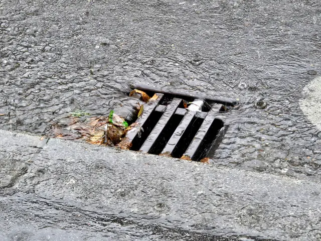 Foto: Heidrun Rosenberger