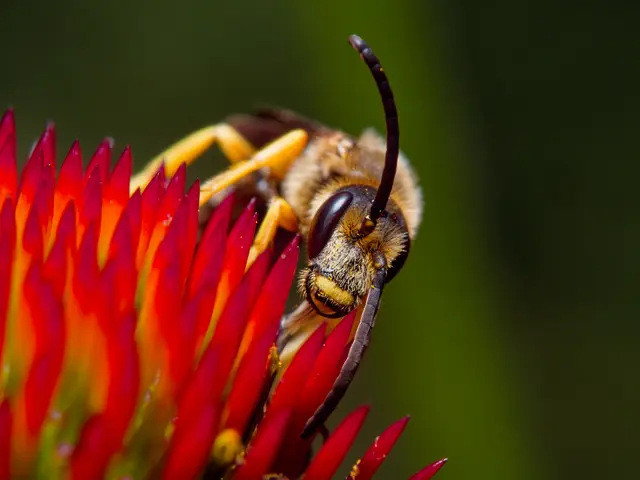 Foto: Eigenes Bild TB