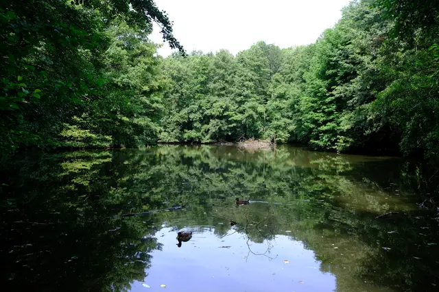 Foto: Eduard Warenik