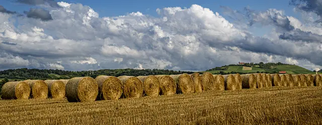 Wolken über dem Michaelsberg bei Cleebronn * Blick in Richtung Süden | Foto: ehw