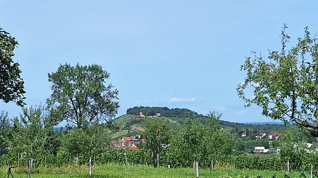 Das ist der Blick vom Hüttberg zum Weinsberger Wahrzeichen der Weibertreu | Foto: Monika Breusch