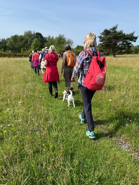 Branka unser Wanderhund bewacht die ganze Gruppe | Foto: Albverein Weinsberg